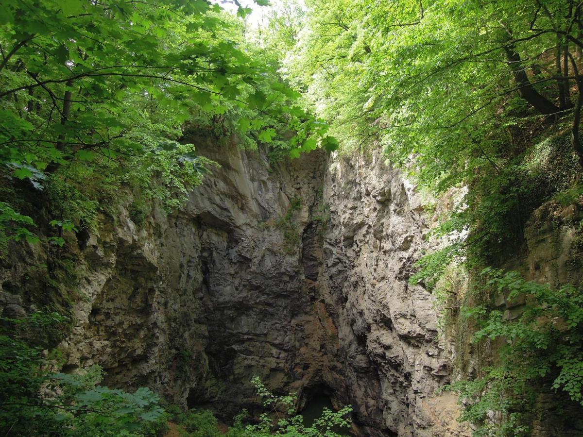 Apartma S Vlastni Saunou Lipník nad Bečou Buitenkant foto